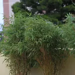 Jolie Maison Terrasse Et Idealement Situee Prázdninový dům *